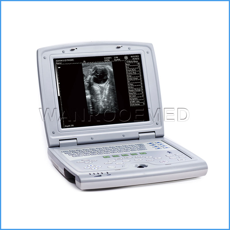 Scanner tenu dans la main d'ultrason d'USKX5000 vétérinaire pour la vérification de grossesse de chien et de chat