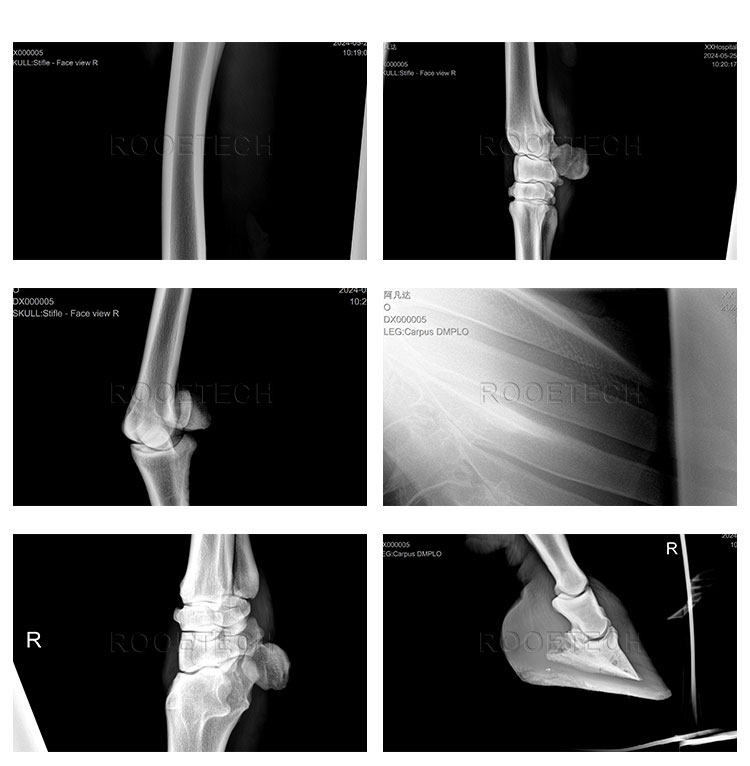 veterinary imaging equipment, digital radiography equipment