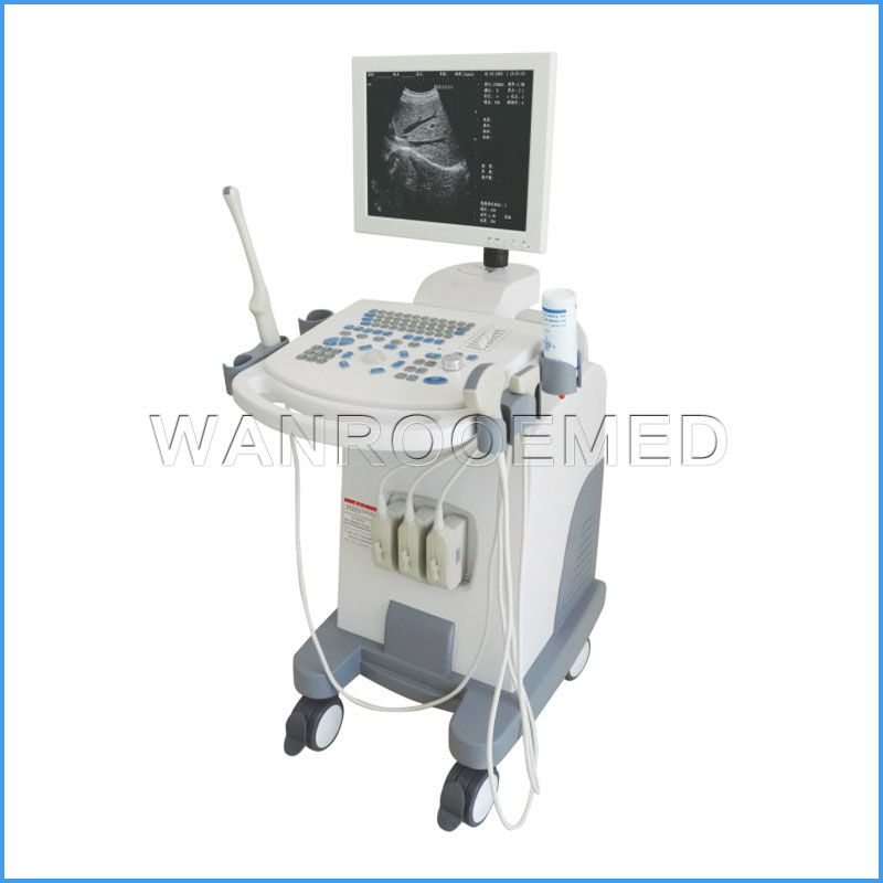 Machine complète d'ultrason de chariot numérique à hôpital US880