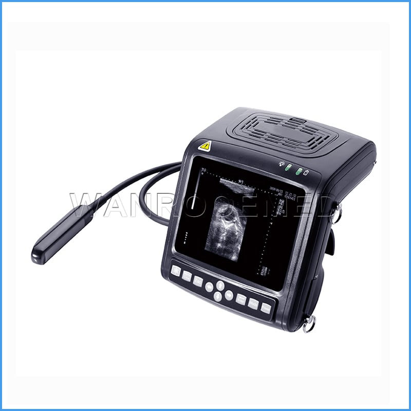 Ultrason vétérinaire de scanner ultrasonique d'animal de mode de l'USKX5200V complètement numérique