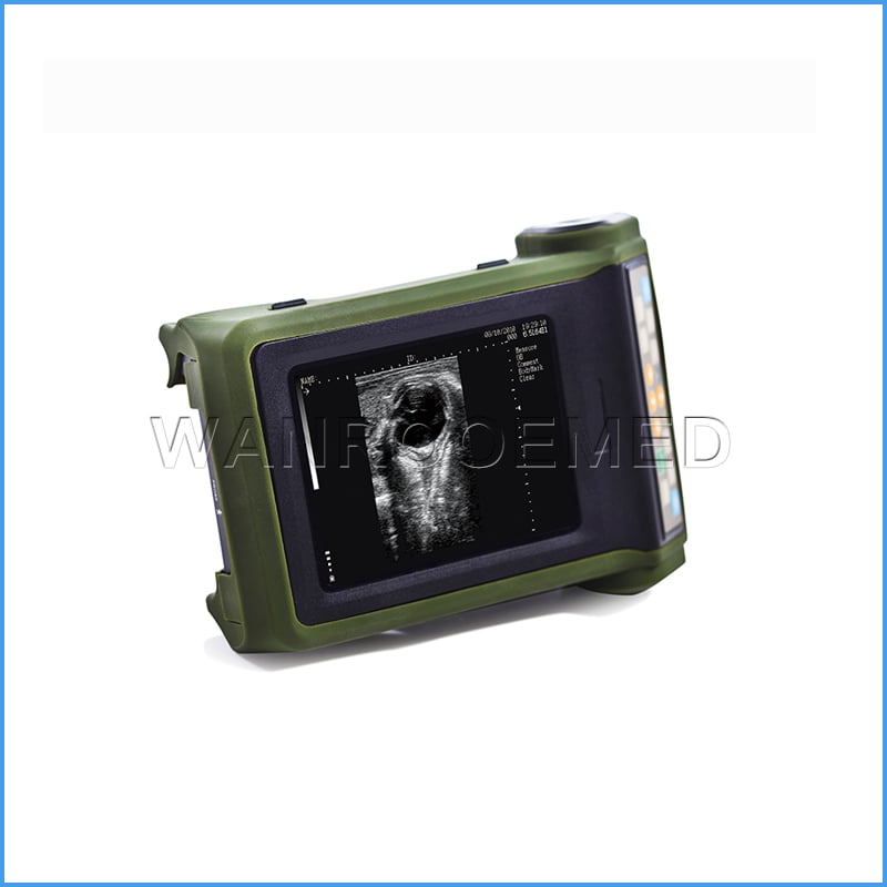 Échographie vétérinaire d'équipement portatif bon marché d'USRKU10 Animal Scanner