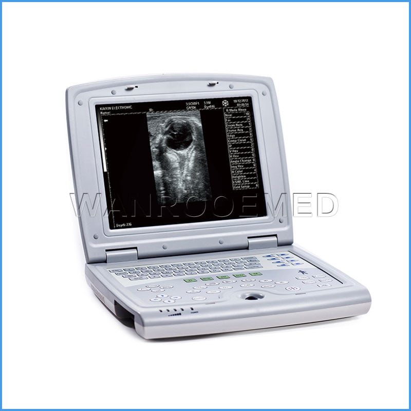 Scanners à ultrasons vétérinaires portatifs