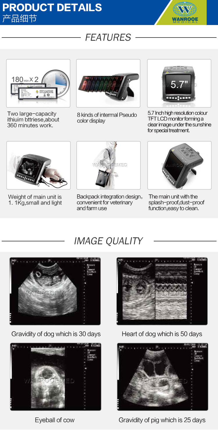USKX5200V Full-digital B Mode Ultrasound Scanner Veterinary Ultrasound For Swine Cattle.jpg