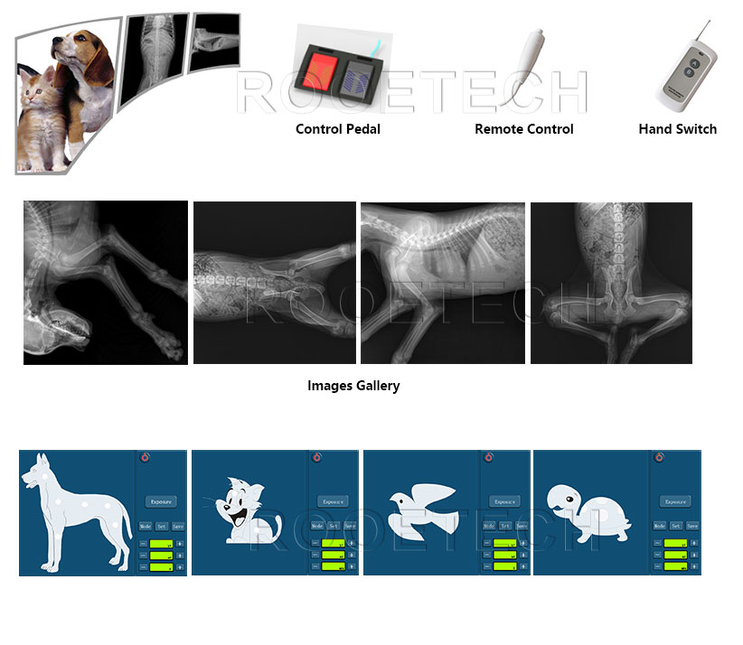 dog x ray machine, horse x ray machine, analog x ray machine, veterinary digital radiography