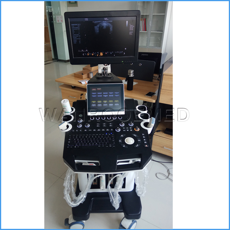 USC80 PLUS Медицинское оборудование Портативный ноутбук Ультразвуковой сканер B Ультразвуковая машина