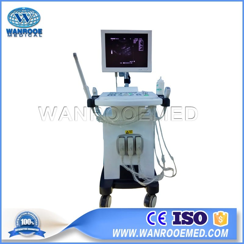 US370 Medical Portable Full-Digital Trolley Pregnancy Fetal Diagnostic Ultrasound Scanner Machine