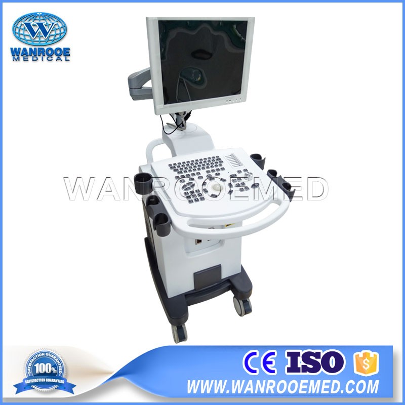 US350 Hospital Portable Trolley Full Digital 3D BW Ultrasound Scanner