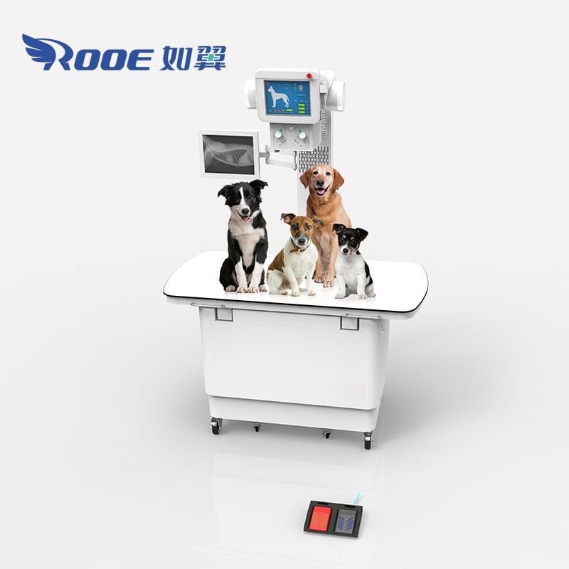 VET1700-D20/32DR Horse/Cat/Dog Pet X Ray Machine Price Veterinary Imaging Equipment