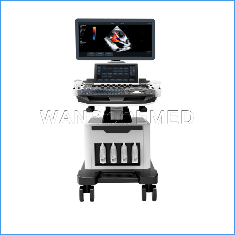 Série d'ultrasons de paume de la Chine, scanner d'ultrasons de paume pour  le vétérinaire, fabricant et fournisseur de système d'échographie portatif  de soins de santé