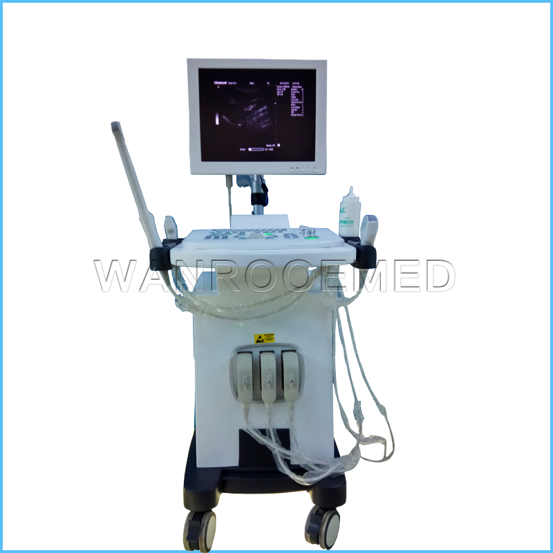 Machine complètement à ultrasons de chariot à prix d'ultrason de l'US370 4D