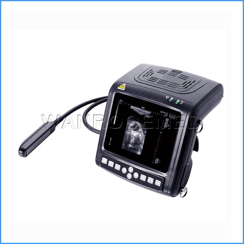 USKX5200V Полно-цифровой режим B Ультразвуковой сканер животных Ветеринарный ультразвук